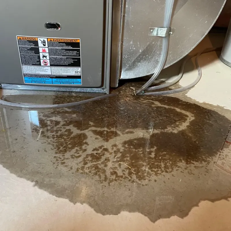 Appliance Leak Cleanup in Vian, OK